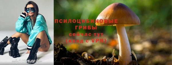 каннабис Дмитровск