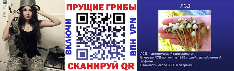 кракен вход Полесск Псилоцибиновые грибы мухоморы наркотики