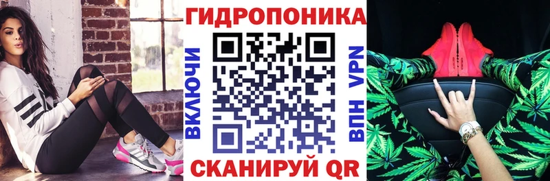 как найти   Полесск  Бошки марихуана White Widow 